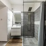 Apartment Baron