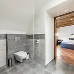 Baron Apartment Cesky Krumlov